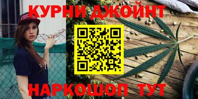 гидропоника Будённовск