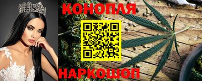 гидропоника Будённовск
