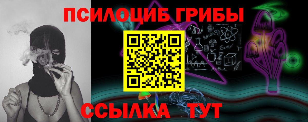 Галлюциногенные грибы Cubensis Лиски